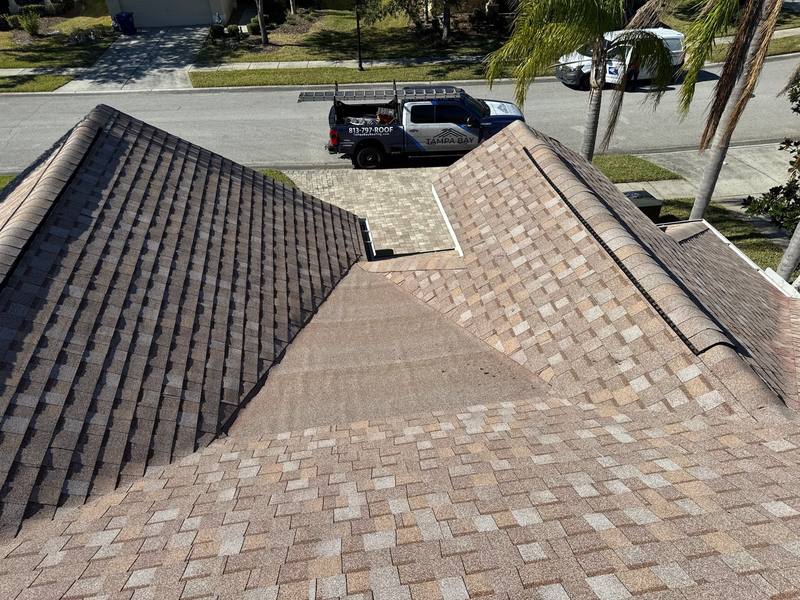 roofing project near English Turn Way in Wesley Chapel