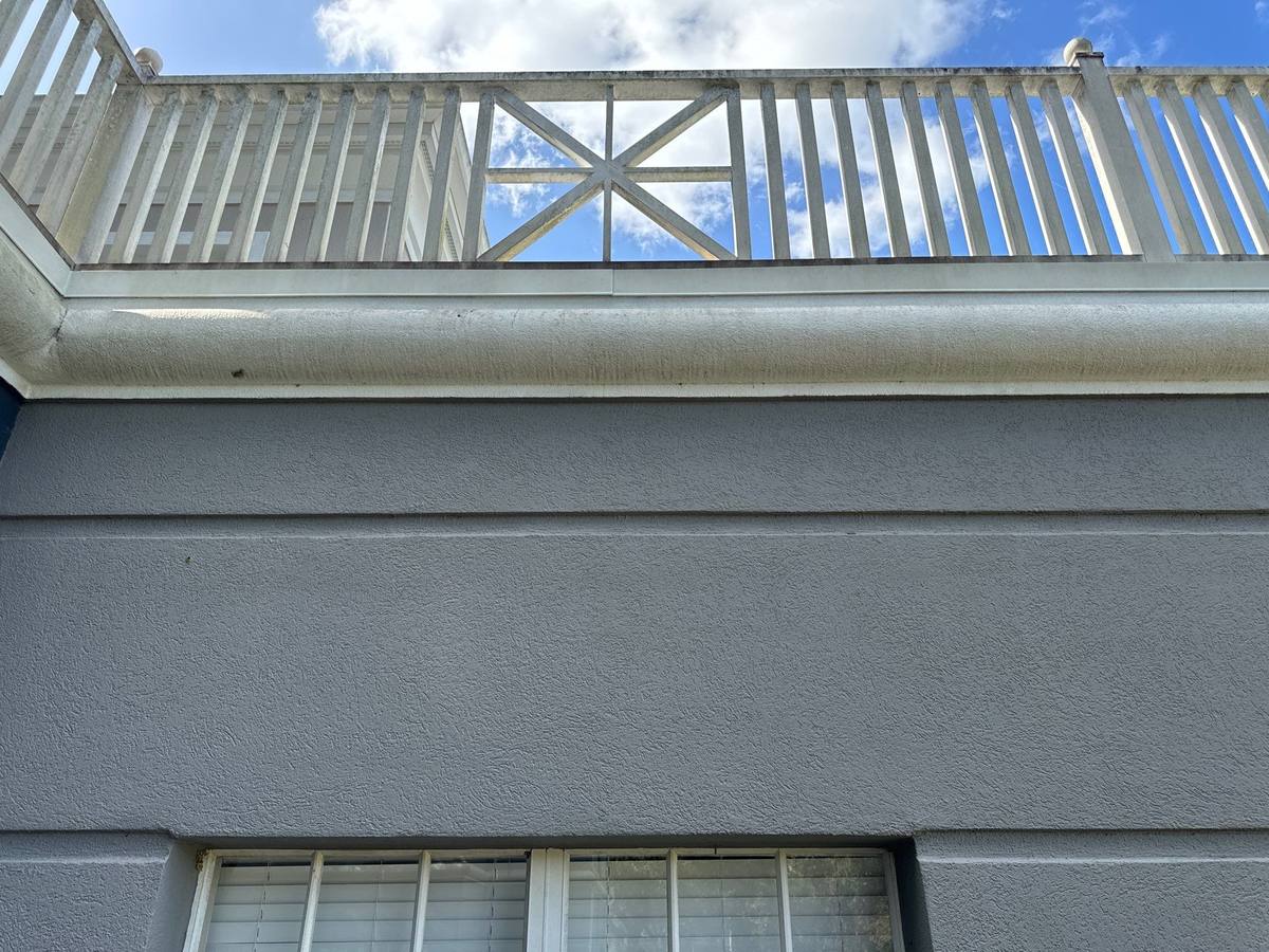 roof replacement in Tampa, Florida
