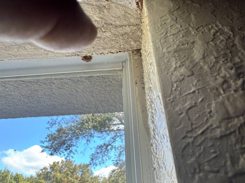 residential roof replacement by Hloska Roofing in Tampa