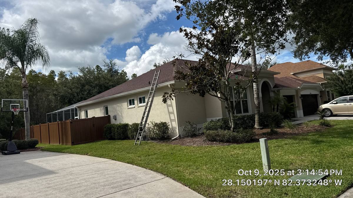 shingle roof replacement in Tampa, Florida