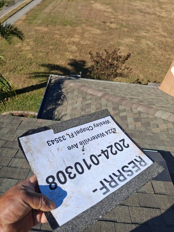 roofing project near Waterville Ave in Wesley Chapel