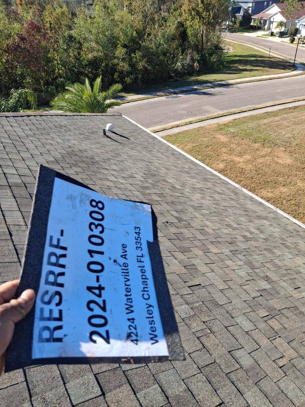 roofing project near Waterville Ave in Wesley Chapel
