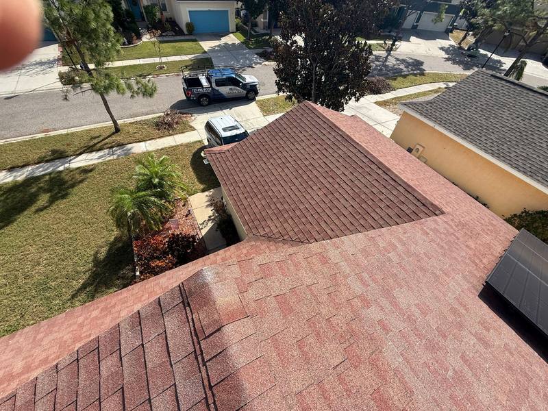 shingle roof replacement in Riverview, Florida