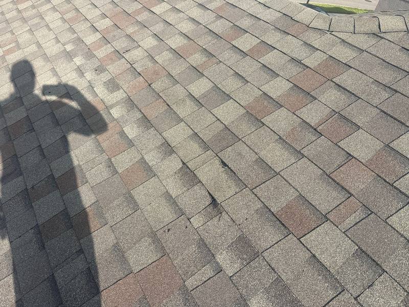 roof replacement in Wesley Chapel, Florida
