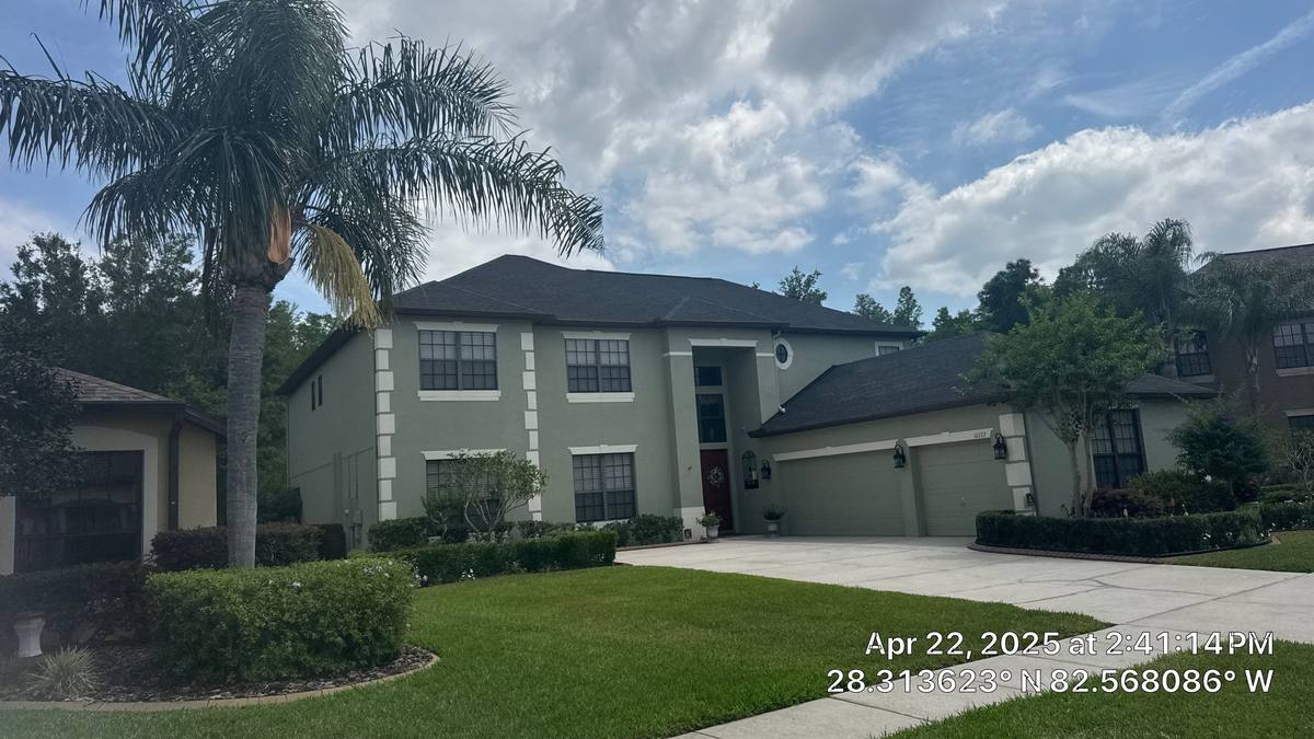 shingle roof replacement in Land O' Lakes, Florida