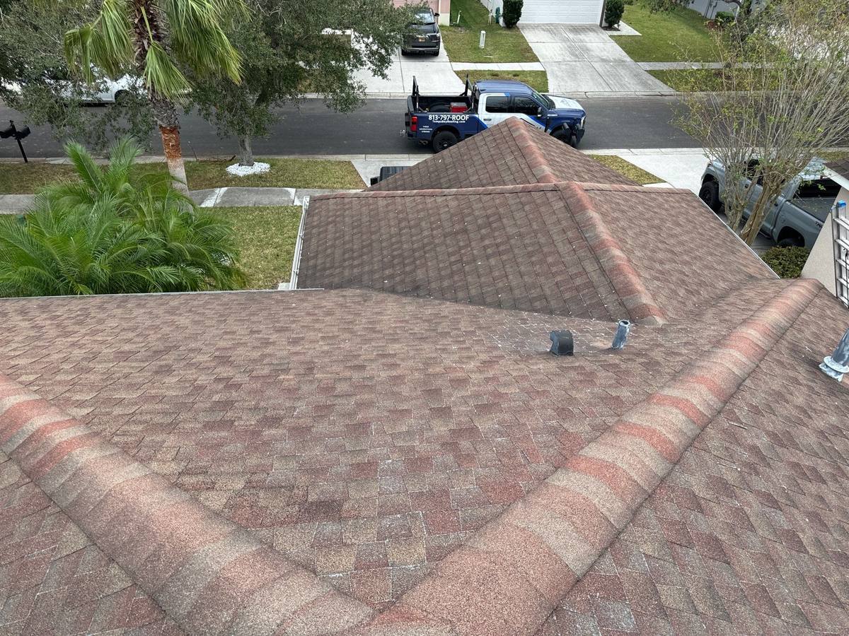roof repair in Tampa, Florida