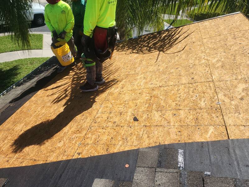 completed roofing project in Wesley Chapel FL