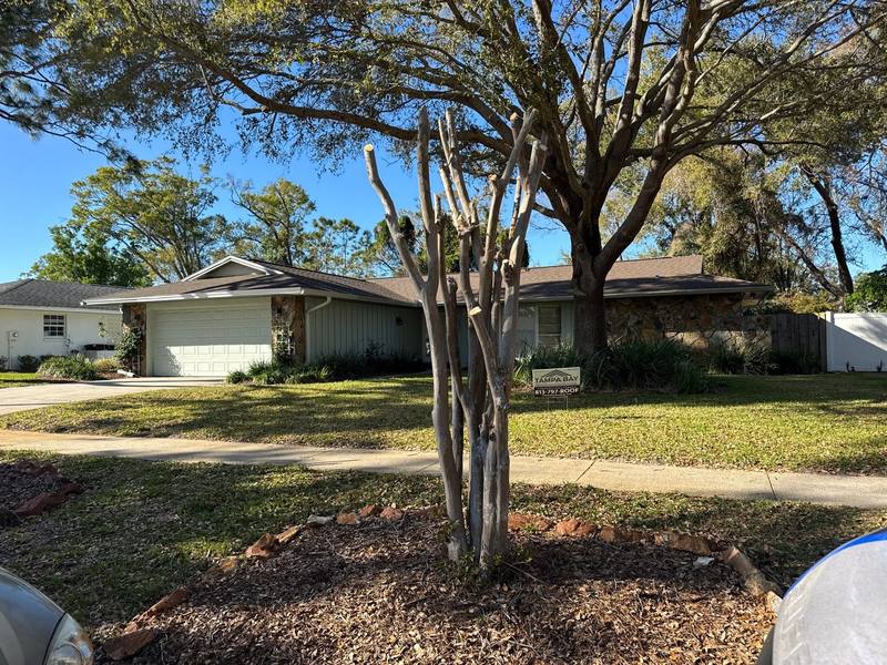 shingle roof replacement in Clearwater, Florida
