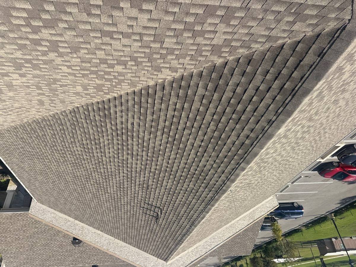shingle roof replacement in Lutz, Florida