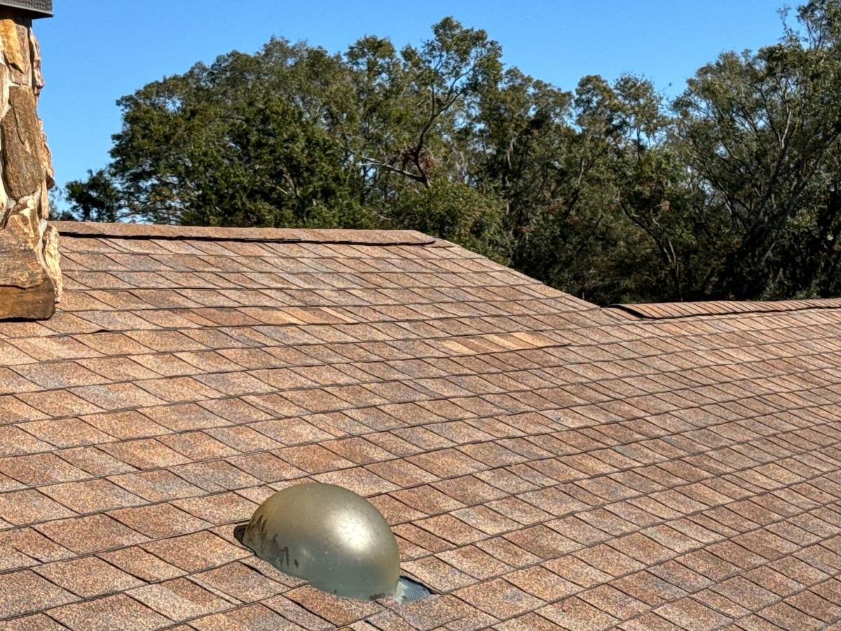 shingle roof replacement in Land O Lakes, Florida