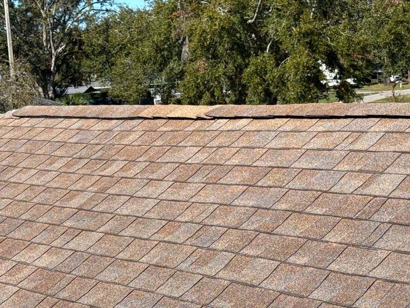 completed roofing project in Land O Lakes FL