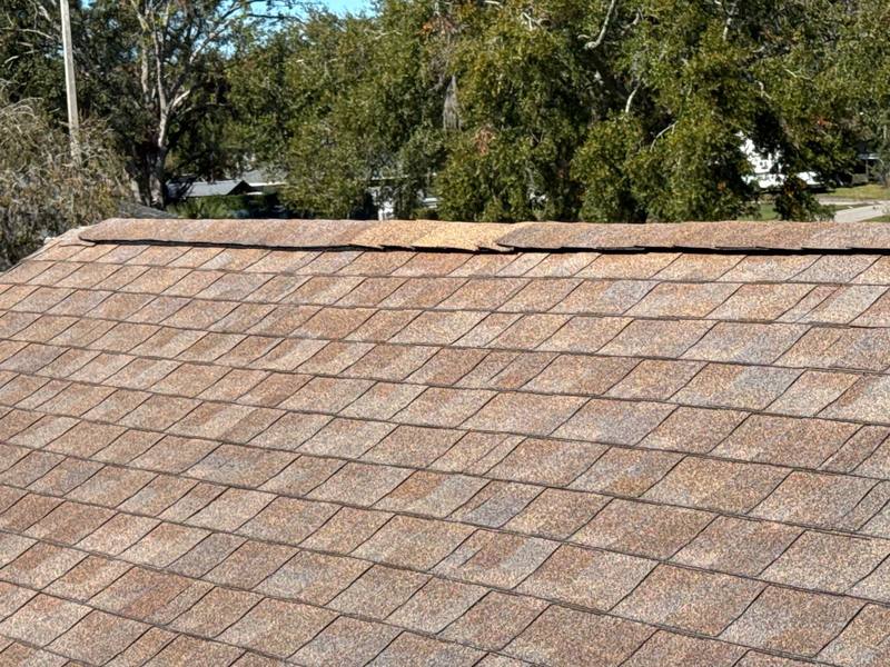 residential shingle roof replacement by Hloska Roofing in Land O Lakes