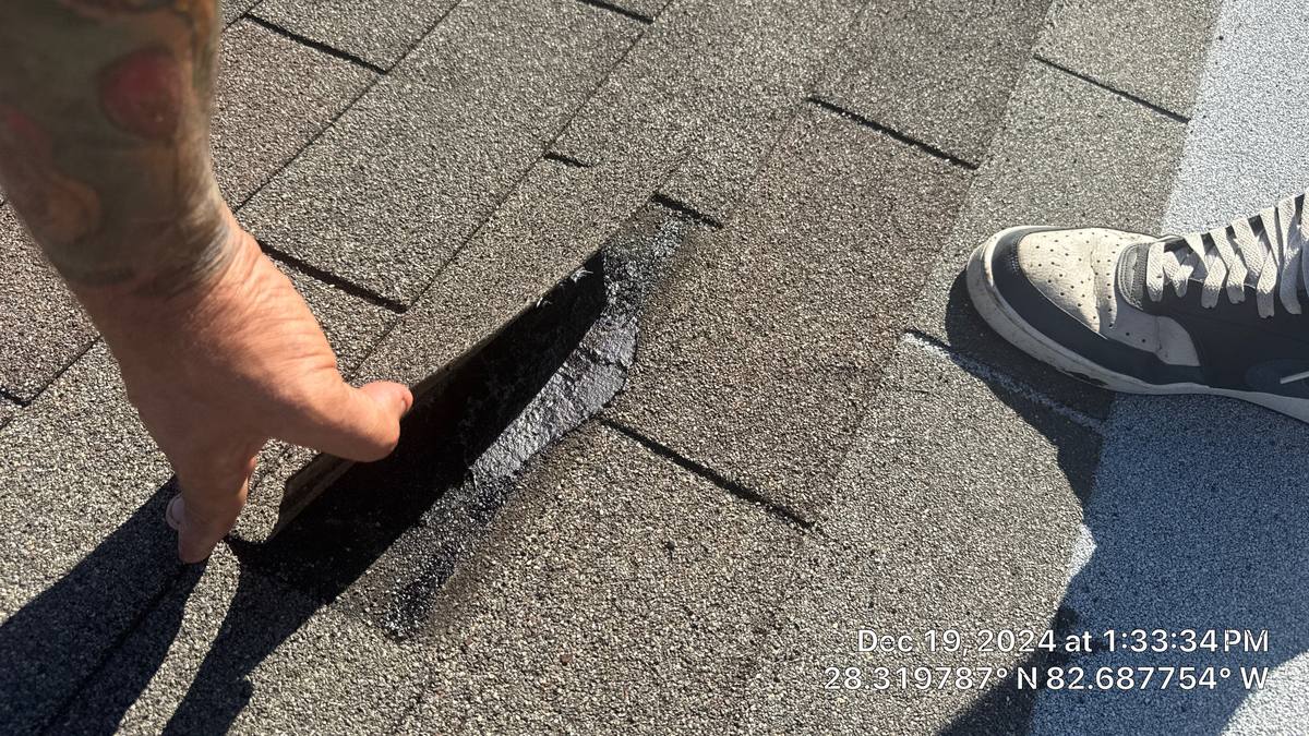 shingle roof replacement in Port Richey, Florida