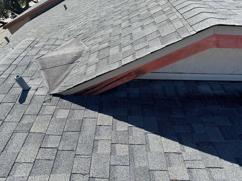 residential roof replacement by Hloska Roofing in St. Petersburg
