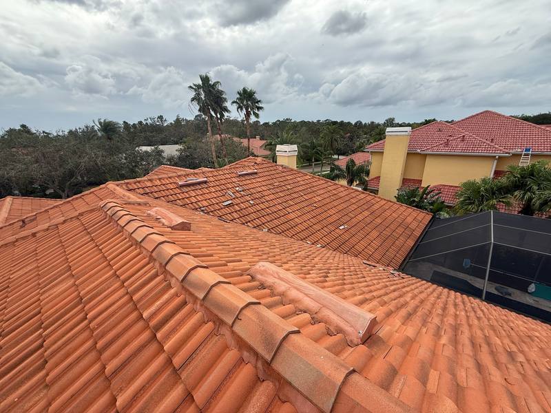 roofing project near Tree Tops Lake Rd in Tampa