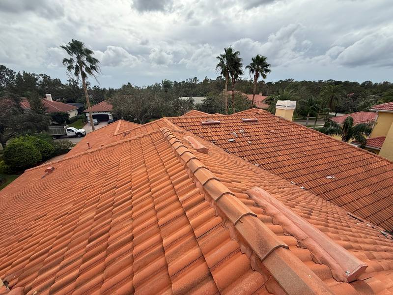 roofing project near Tree Tops Lake Rd in Tampa
