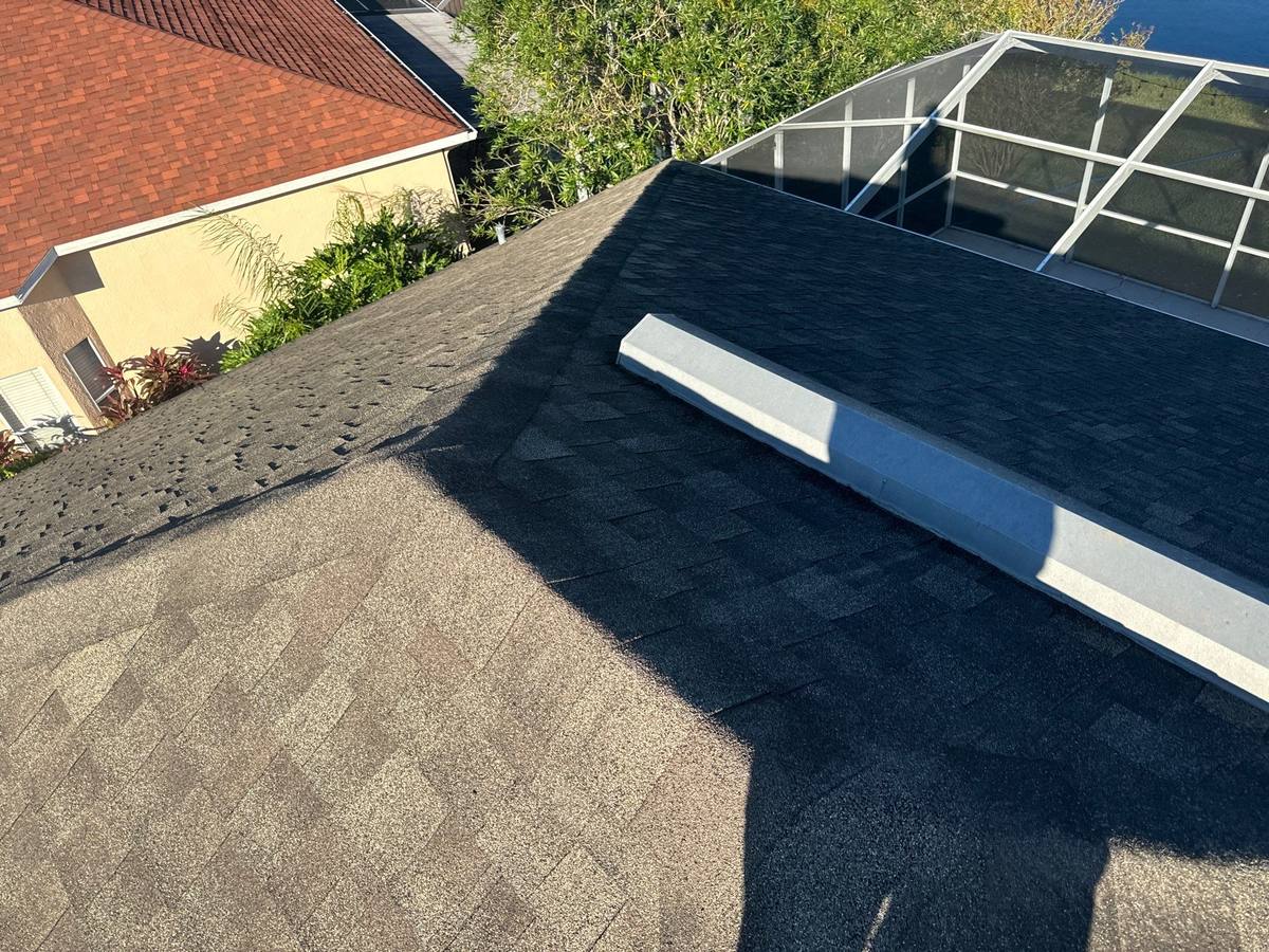 shingle roof replacement in Tampa, Florida