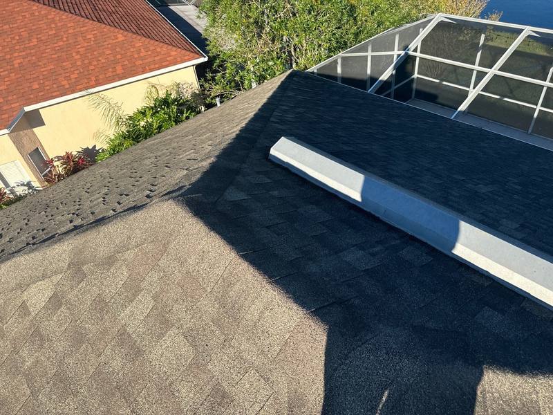 residential shingle roof replacement by Hloska Roofing in Tampa