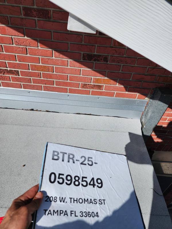 shingle roof replacement in Tampa, Florida