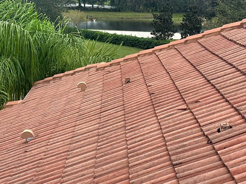 completed roofing project in Lutz FL