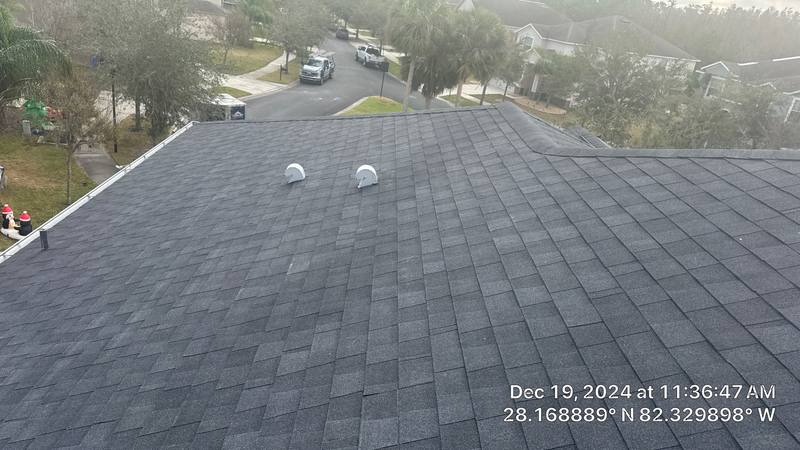 roofing project near Royal Fern Court in Tampa