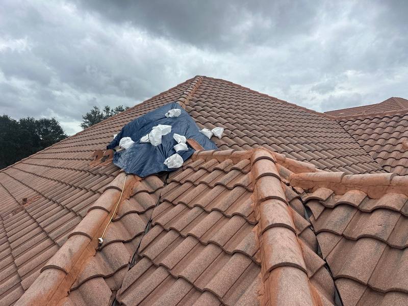 residential roof repair by Hloska Roofing in Tampa