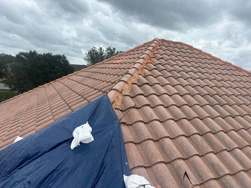 roofing project near Shady Hill Ln in Tampa