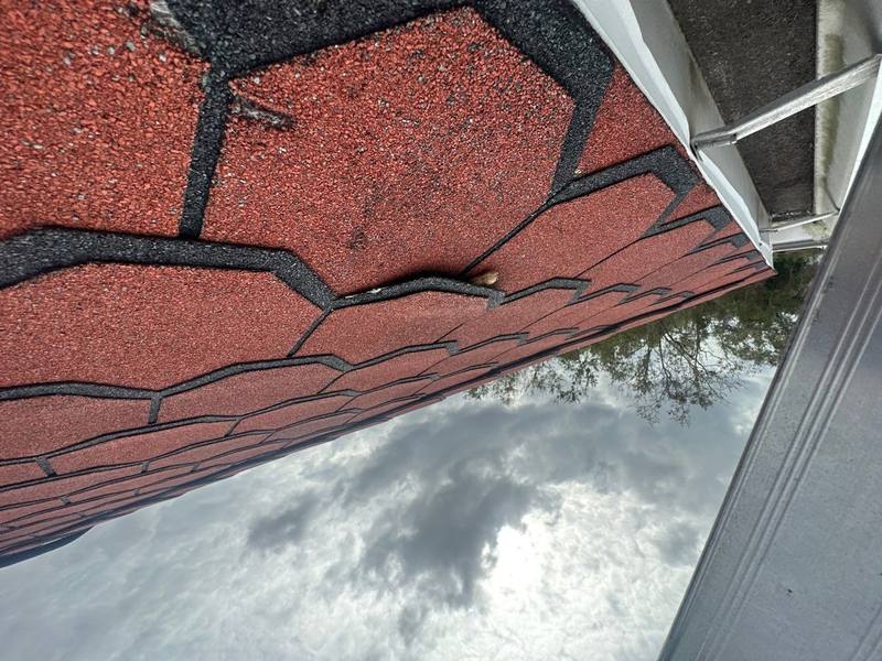 residential shingle roof replacement by Hloska Roofing in Land O Lakes