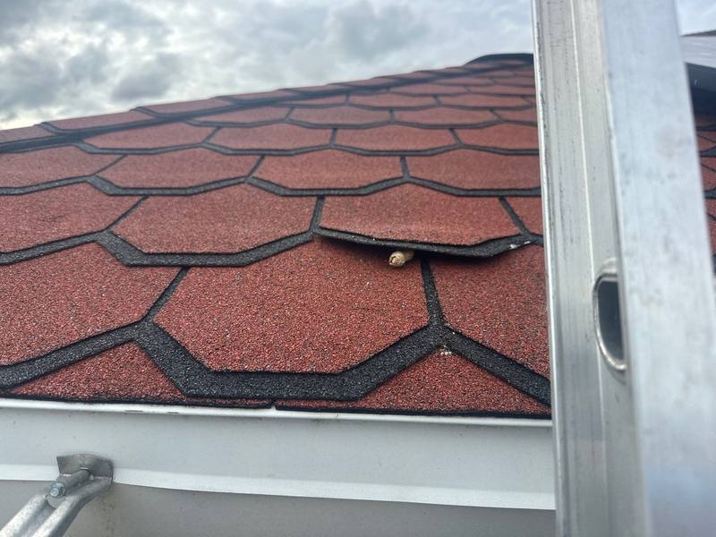 roofing project near Camp Indianhead Rd in Land O Lakes