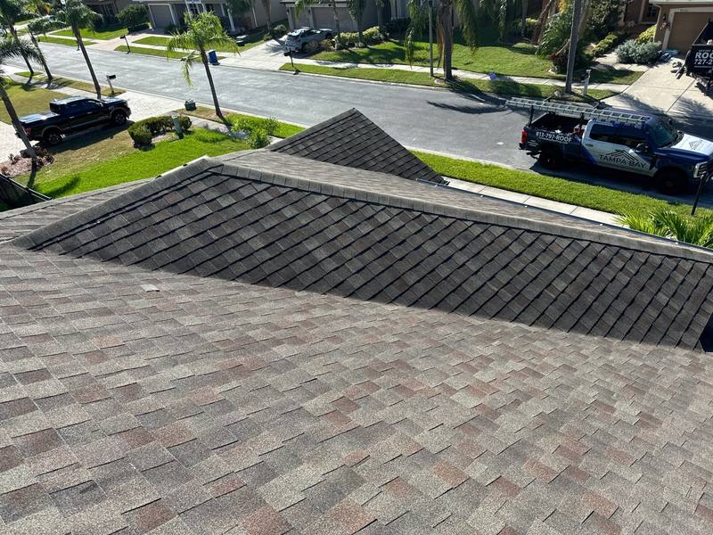 shingle roof replacement in Pinellas Park, Florida