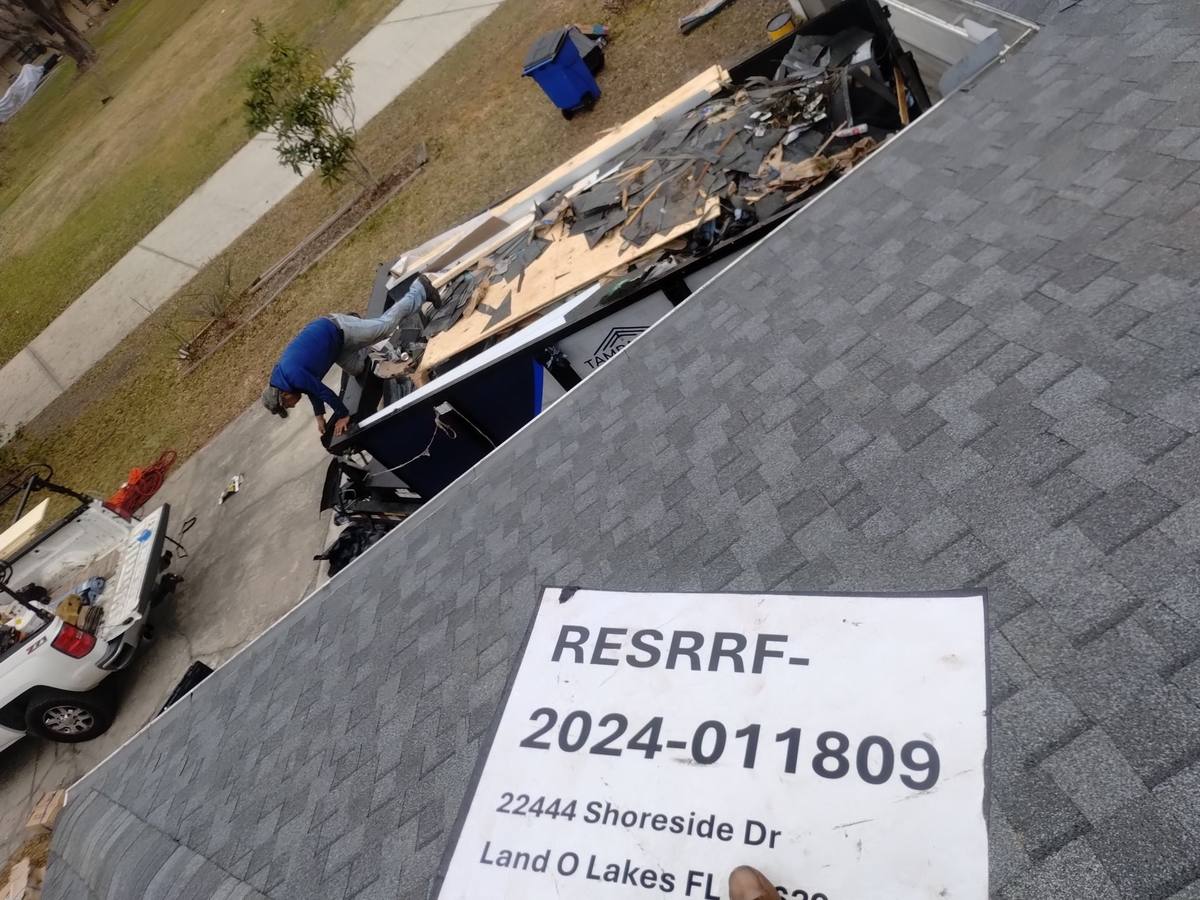 shingle roof replacement in Land O Lakes, Florida