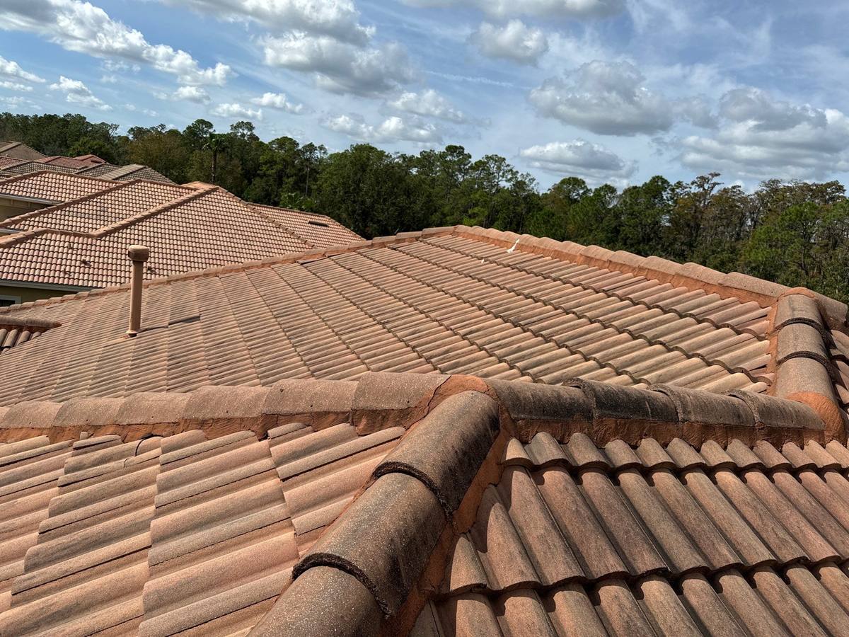 roof repair in Tampa, Florida