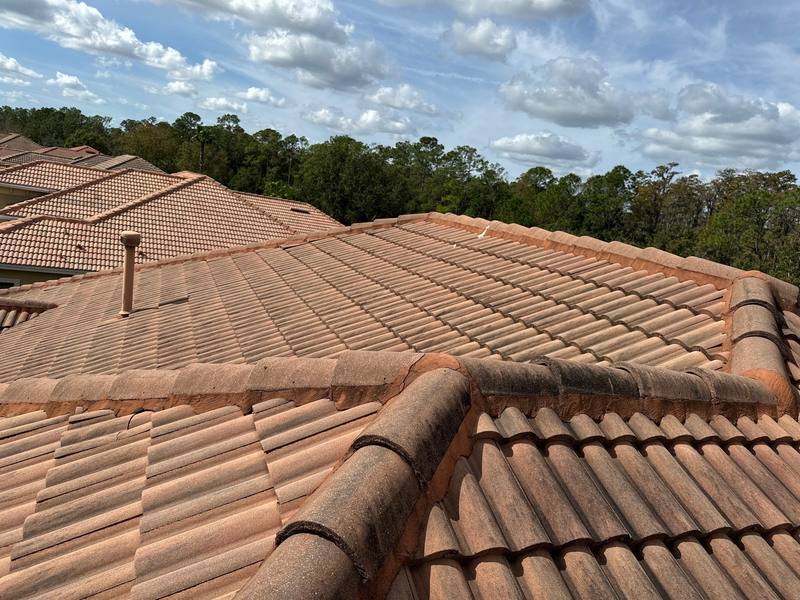 completed roofing project in Tampa FL