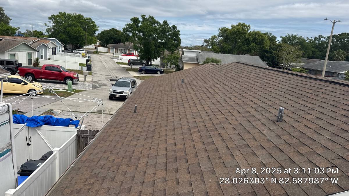shingle roof replacement in Tampa, Florida