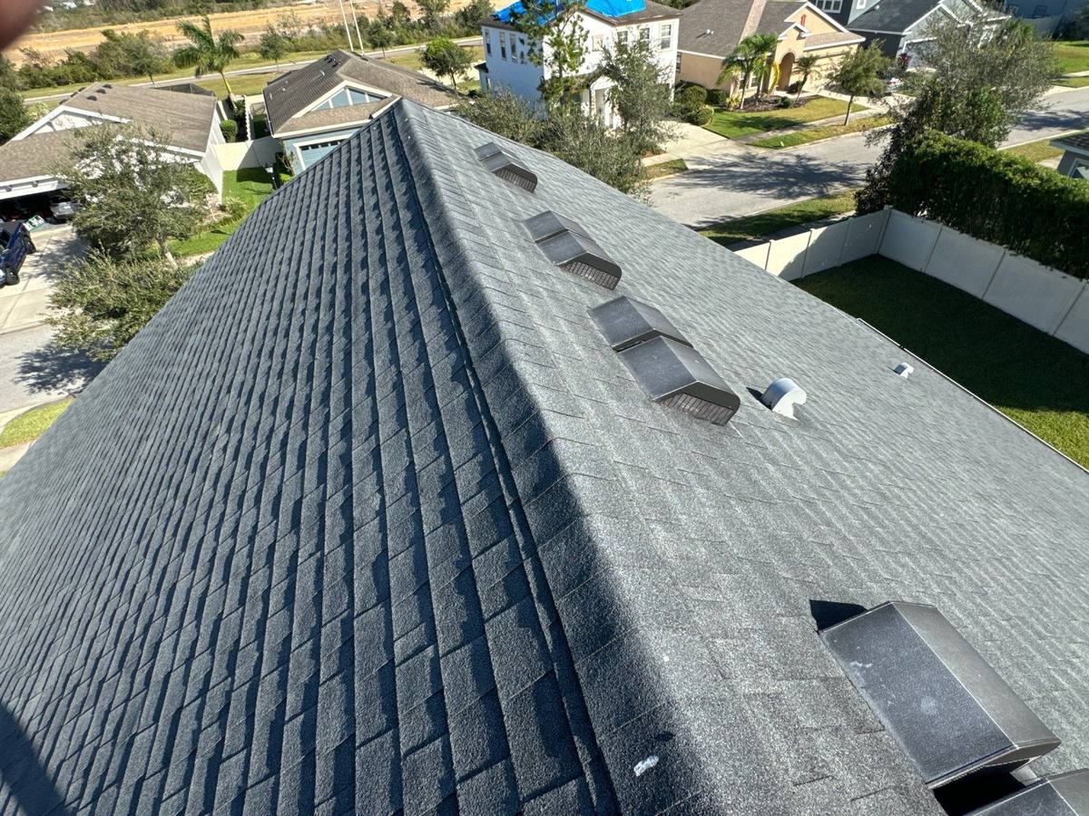 shingle roof replacement in Wesley Chapel, Florida