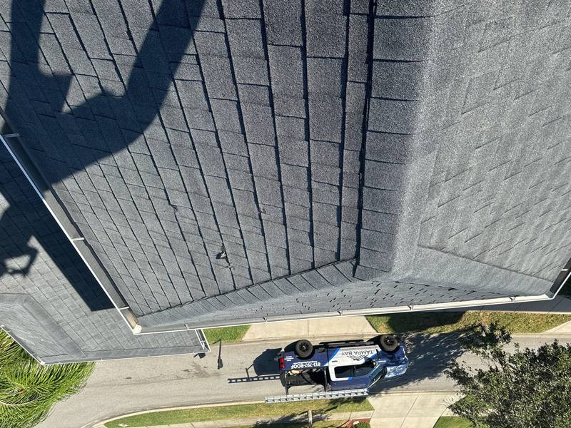 shingle roof replacement in Wesley Chapel, Florida