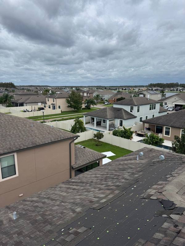 shingle roof replacement in Lutz, Florida