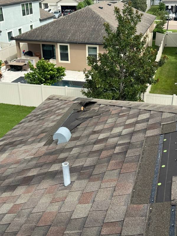 residential shingle roof replacement by Hloska Roofing in Lutz
