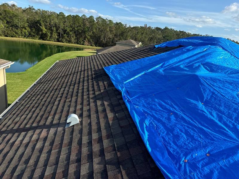roofing project near Carolina Cherry Ct in Tampa