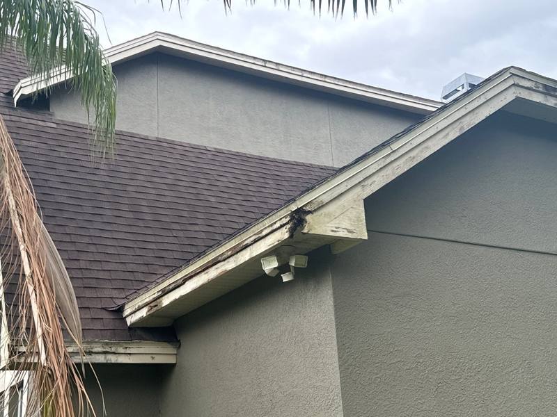 roofing project near Palamino Lake Dr in Dade City