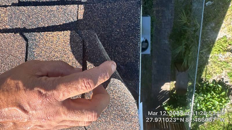 residential shingle roof replacement by Hloska Roofing in Tampa