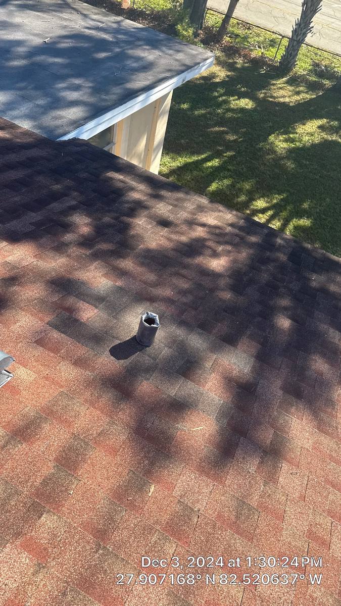 roof repair in Tampa, Florida