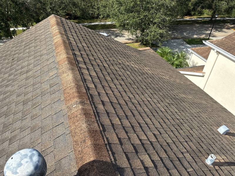 completed roofing project in Tampa FL