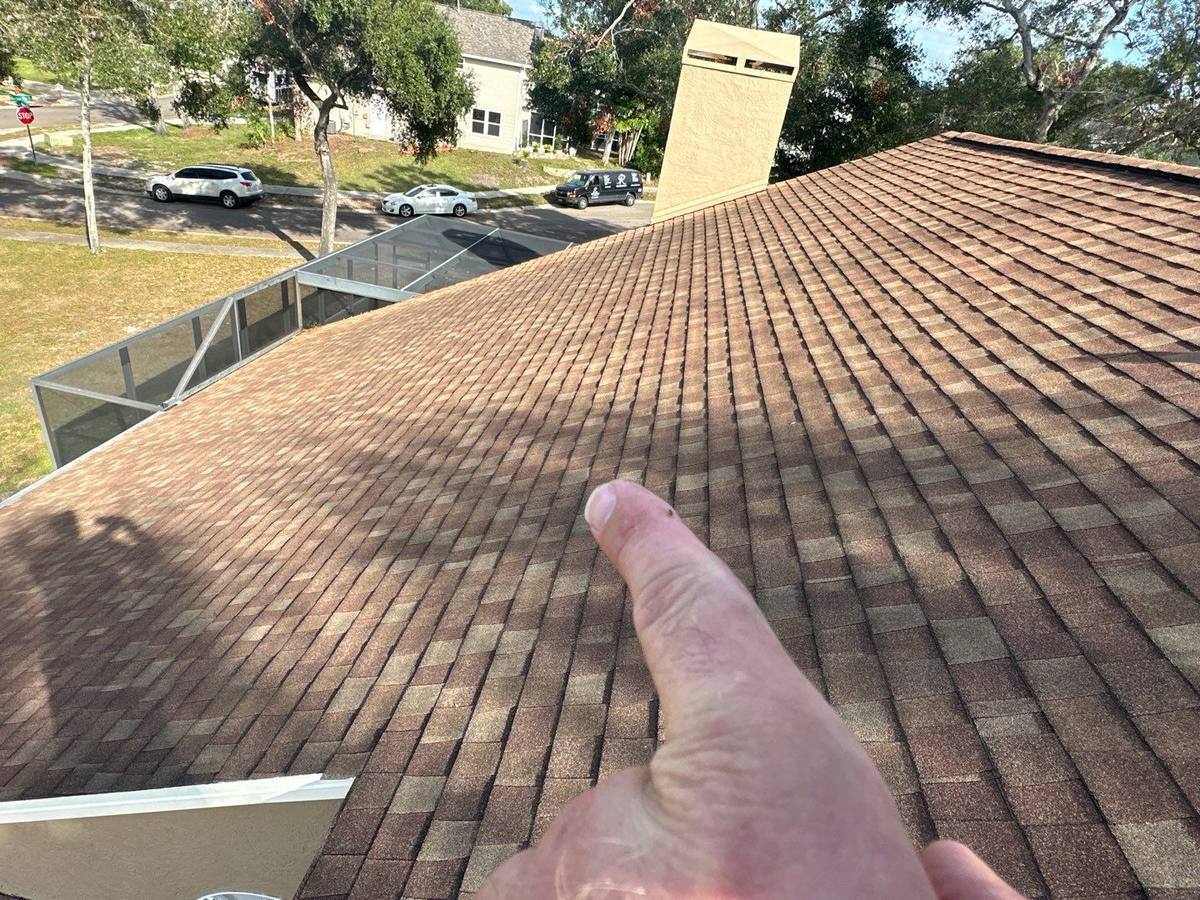 roof replacement in Safety Harbor, Florida