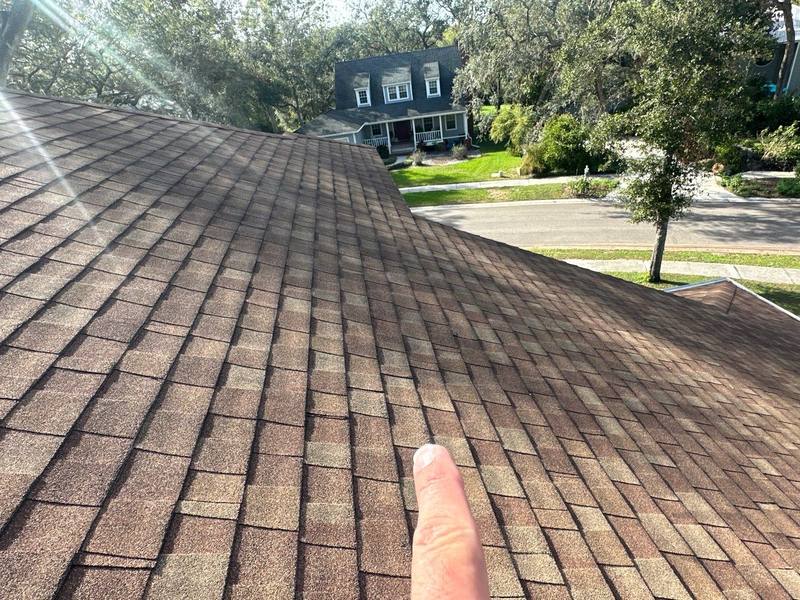roof replacement in Safety Harbor, Florida