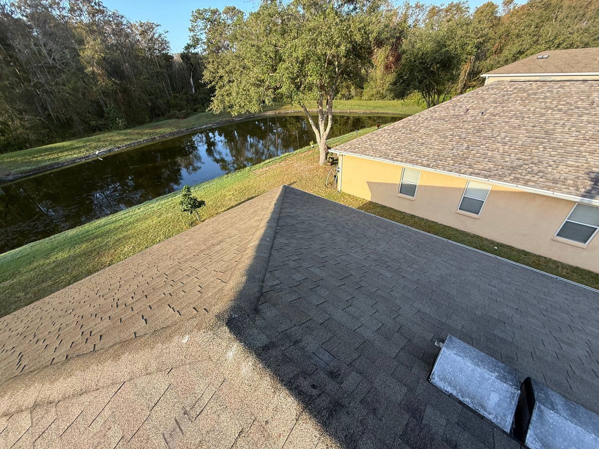 shingle roof replacement in New Port Richey, Florida