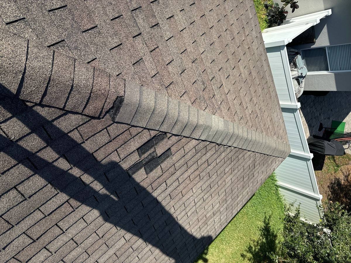 roof repair in Wesley Chapel, Florida
