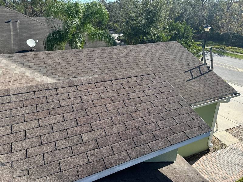 roof repair in Wesley Chapel, Florida
