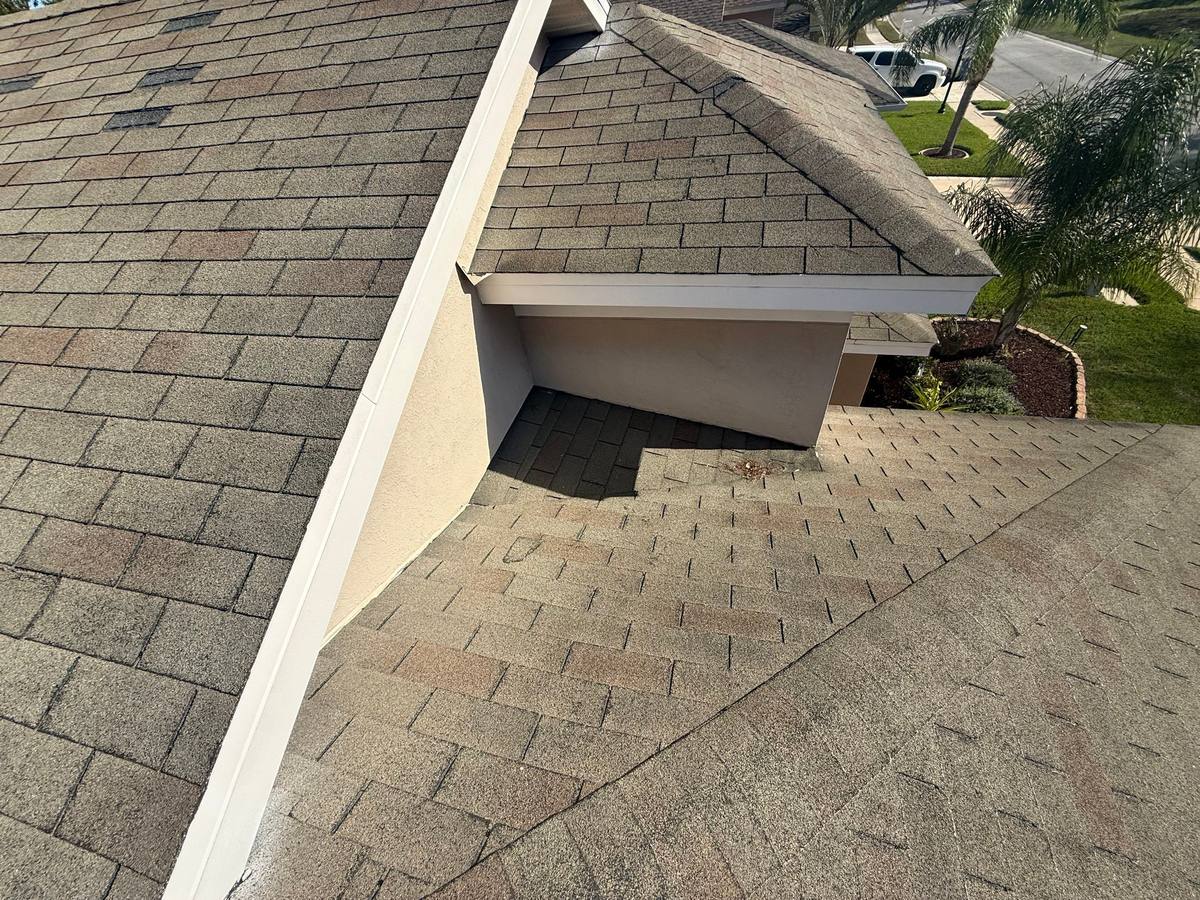 shingle roof replacement in Hudson, Florida
