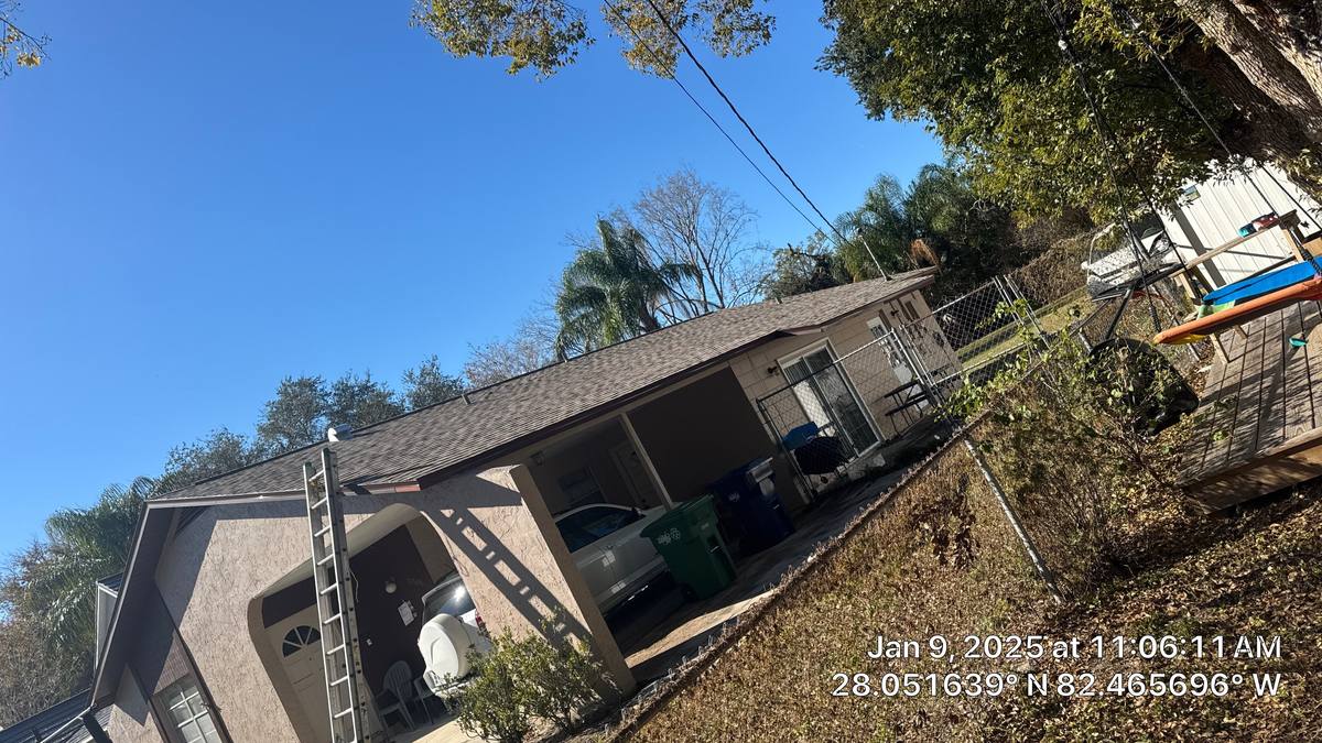 shingle roof replacement in Tampa, Florida